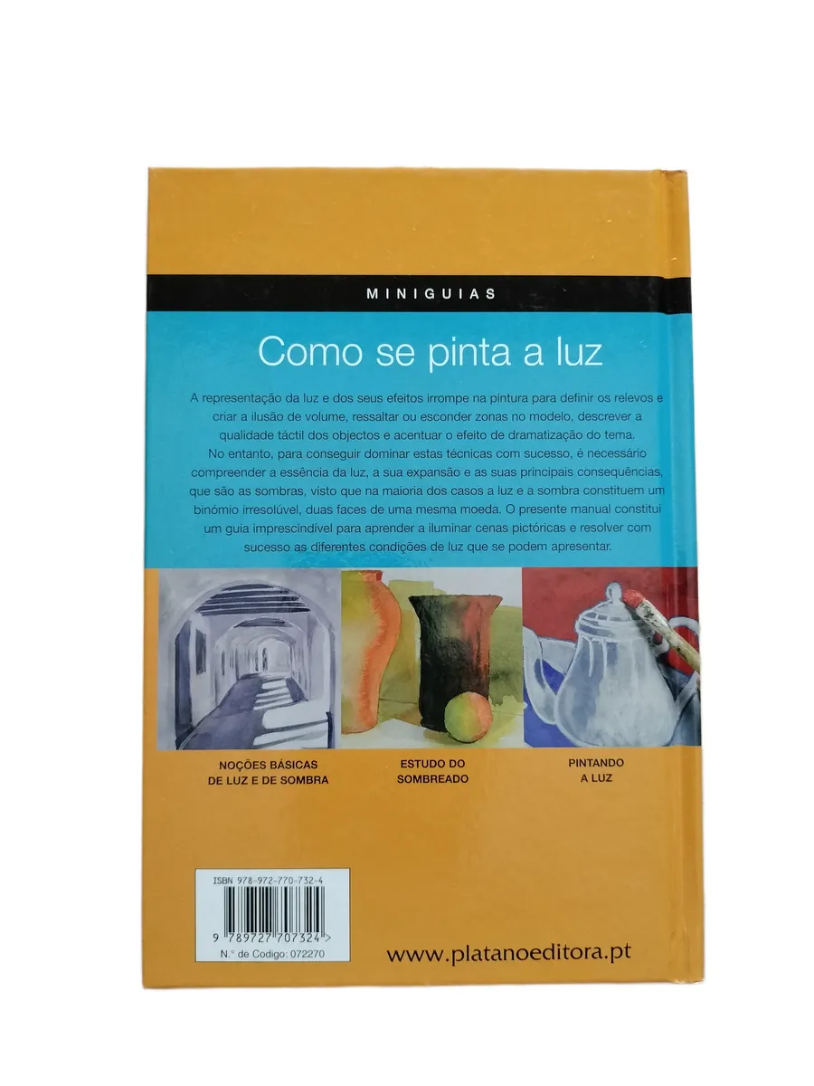 como se pinta a luz platano editora contracapa Contracapa do livro Como Se Pinta a Luz da Plátano Editora.
