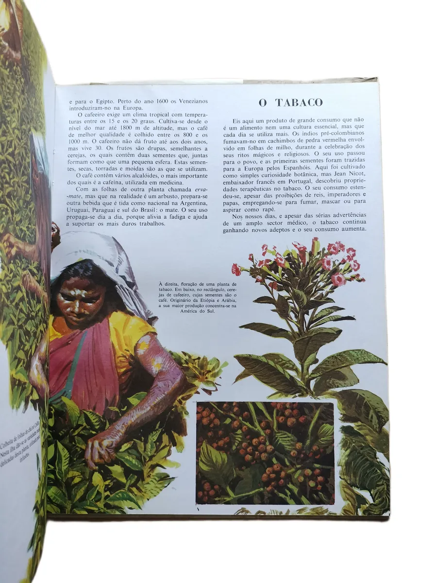 a agricultura livraria civilizacao pagina 2 Página do livro A Agricultura da Livraria Civilização.