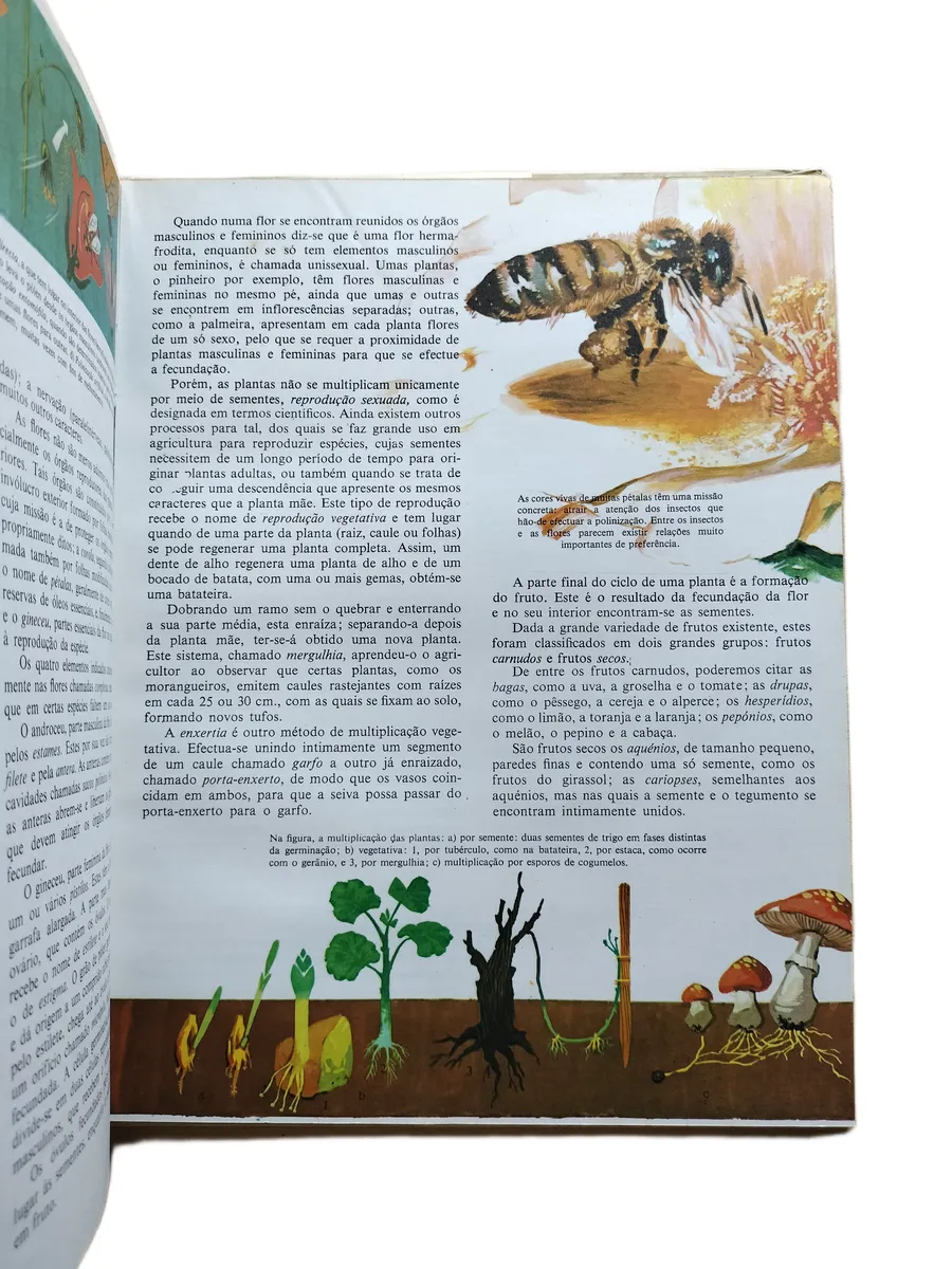 a agricultura livraria civilizacao pagina Página do livro A Agricultura da Livraria Civilização.